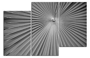 Slika na platnu - Tropsko lišće 1205QD (150x100 cm)