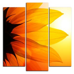Slika na platnu - Cvijet suncokreta - kvadrat 3201C (75x75 cm)