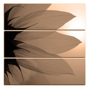 Slika na platnu - Cvijet suncokreta - kvadrat 3201FD (75x75 cm)