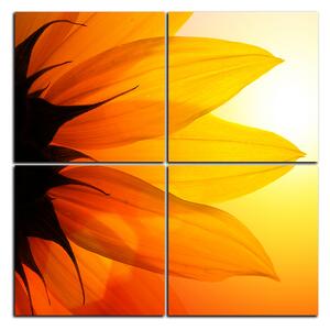 Slika na platnu - Cvijet suncokreta - kvadrat 3201E (60x60 cm)