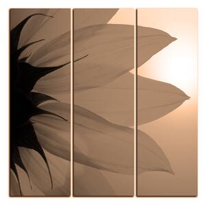 Slika na platnu - Cvijet suncokreta - kvadrat 3201FB (75x75 cm)