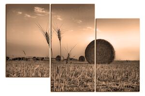 Slika na platnu - Stogovi sijena u polju 1211FD (90x60 cm)