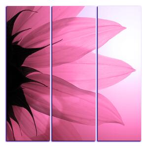 Slika na platnu - Cvijet suncokreta - kvadrat 3201VB (75x75 cm)