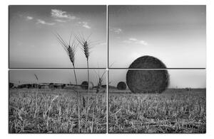 Slika na platnu - Stogovi sijena u polju 1211QE (150x100 cm)