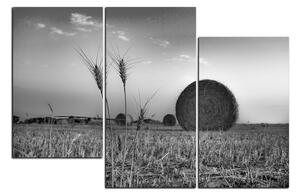 Slika na platnu - Stogovi sijena u polju 1211QD (150x100 cm)