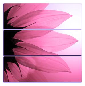 Slika na platnu - Cvijet suncokreta - kvadrat 3201VD (75x75 cm)