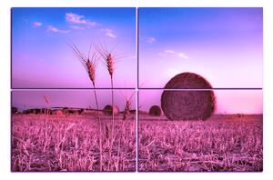 Slika na platnu - Stogovi sijena u polju 1211VE (90x60 cm)