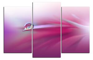 Slika na platnu - Prekrasna cvjetna pozadina 1215C (90x60 cm)
