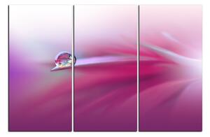 Slika na platnu - Prekrasna cvjetna pozadina 1215B (150x100 cm)