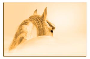 Slika na platnu - Andaluzijski konj u magli 1219FA (60x40 cm)