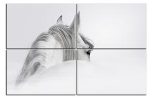 Slika na platnu - Andaluzijski konj u magli 1219E (150x100 cm)