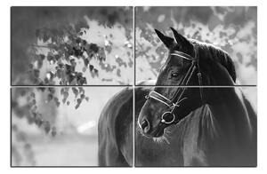 Slika na platnu - Crni konj 1220QE (90x60 cm)