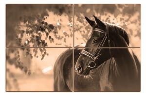 Slika na platnu - Crni konj 1220FE (90x60 cm)