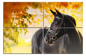 Slika na platnu - Crni konj 1220E (90x60 cm)