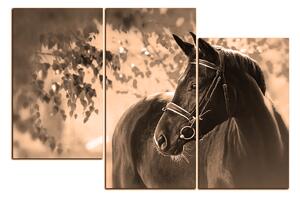 Slika na platnu - Crni konj 1220FD (90x60 cm)