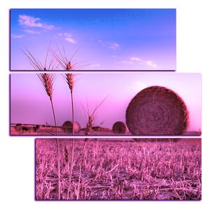 Slika na platnu - Stogovi sijena u polju - kvadrat 3211VD (75x75 cm)