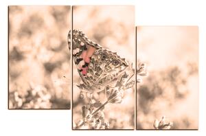Slika na platnu - Leptir na lavandi 1221FD (90x60 cm)