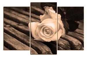 Slika na platnu - Bijela ruža na klupi 1224FC (150x100 cm)
