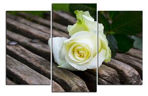 Slika na platnu - Bijela ruža na klupi 1224C (120x80 cm)
