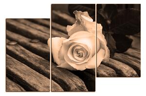 Slika na platnu - Bijela ruža na klupi 1224FD (90x60 cm)