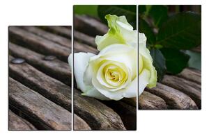 Slika na platnu - Bijela ruža na klupi 1224D (150x100 cm)
