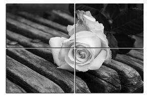 Slika na platnu - Bijela ruža na klupi 1224QE (150x100 cm)