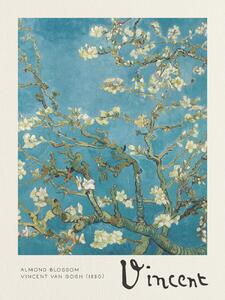 Reprodukcija umjetnosti Cvjetovi badema, (30 x 40 cm)