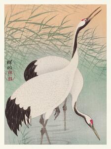 Reprodukcija umjetnosti Two Cranes (Japandi Vintge) - Ohara Koson, (30 x 40 cm)