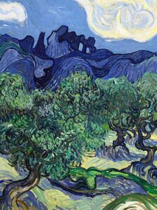 Reprodukcija umjetnosti The Olive Trees (Portrait Edition) - Vincent van Gogh, (30 x 40 cm)
