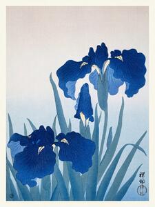 Reprodukcija umjetnosti Blue Iris Flowers (Japandi Vintage) - Ohara Koson, (30 x 40 cm)