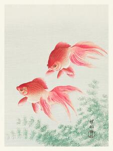Reprodukcija umjetnosti Two Veil Goldfish (Japandi Vintage) - Ohara Koson, (30 x 40 cm)