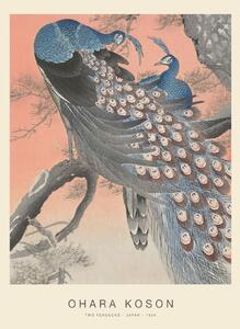 Reprodukcija umjetnosti Two Peacocks (Special Edition) - Ohara Koson copy, (30 x 40 cm)