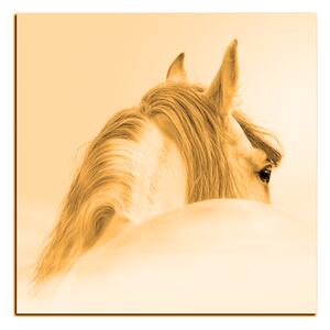 Slika na platnu - Andaluzijski konj u magli - kvadrat 3219FA (50x50 cm)