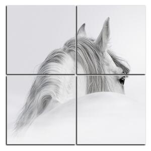 Slika na platnu - Andaluzijski konj u magli - kvadrat 3219D (60x60 cm)