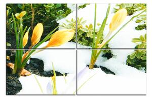 Slika na platnu - Rano proljetno cvijeće 1242E (90x60 cm)