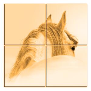 Slika na platnu - Andaluzijski konj u magli - kvadrat 3219FD (60x60 cm)