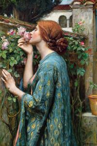Reprodukcija The Soul of The Rose (Vintage Female Portrait) - John William Waterhouse, (26.7 x 40 cm)