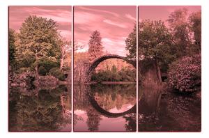 Slika na platnu - Most u parku u Kromlau 1246VB (90x60 cm )