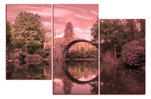 Slika na platnu - Most u parku u Kromlau 1246VD (120x80 cm)