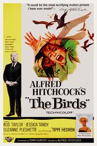 Reprodukcija umjetnosti The Birds / Alfred Hitchcock / Tippi Hedren (Retro Movie), (26.7 x 40 cm)
