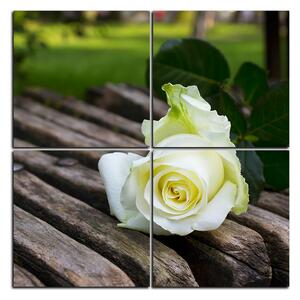 Slika na platnu - Bijela ruža na klupi - kvadrat 3224E (60x60 cm)