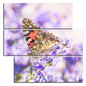 Slika na platnu - Leptir na lavandi - kvadrat 3221D (75x75 cm)