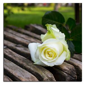 Slika na platnu - Bijela ruža na klupi - kvadrat 3224A (50x50 cm)