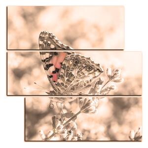 Slika na platnu - Leptir na lavandi - kvadrat 3221FD (75x75 cm)