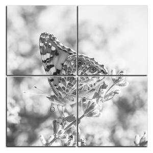 Slika na platnu - Leptir na lavandi - kvadrat 3221QE (60x60 cm)