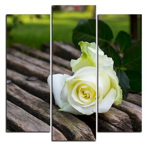 Slika na platnu - Bijela ruža na klupi - kvadrat 3224C (75x75 cm)