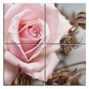 Slika na platnu - Ruža i suhe biljke - kvadrat 3225E (60x60 cm)