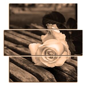 Slika na platnu - Bijela ruža na klupi - kvadrat 3224FD (75x75 cm)