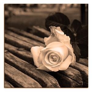 Slika na platnu - Bijela ruža na klupi - kvadrat 3224FA (50x50 cm)