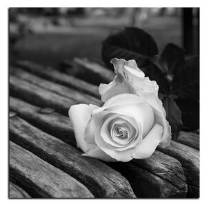 Slika na platnu - Bijela ruža na klupi - kvadrat 3224QA (50x50 cm)